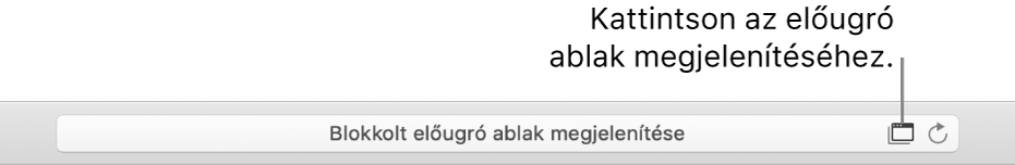 Az Intelligens keresési mező jobb oldalűn egy ikon látható a felugró ablakok megjelenítésének engedélyezéséhez.