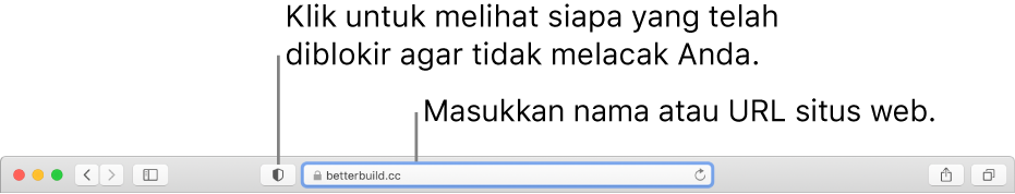 Bar alat Safari yang menampilkan tombol Laporan Privasi dan situs web di bidang Pencarian Cerdas.