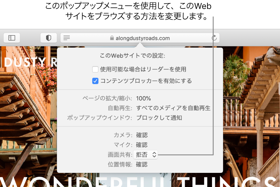 「Safari」＞「この Web サイトでの設定」と選択したときにスマート検索フィールドの下に表示されるダイアログ。このダイアログには、リーダー表示の使用やコンテンツブロッカーの有効化など、現在の Web サイトをブラウズする方法をカスタマイズするためのオプションが含まれています。