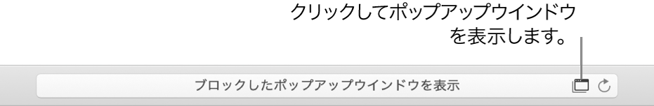 右側にポップアップウインドウの表示を許可するアイコンが表示されたスマート検索フィールド