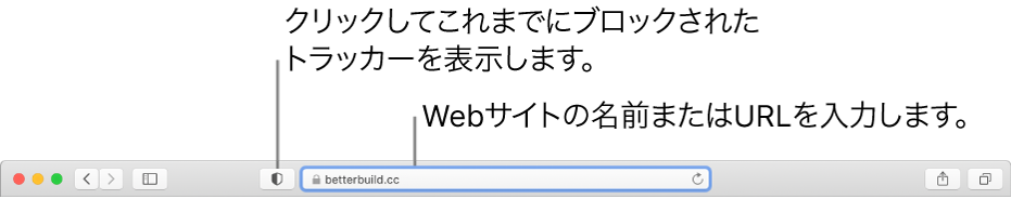 Safariのツールバー。「プライバシーレポート」ボタンが表示され、スマート検索フィールドにはWebサイトが表示されています。