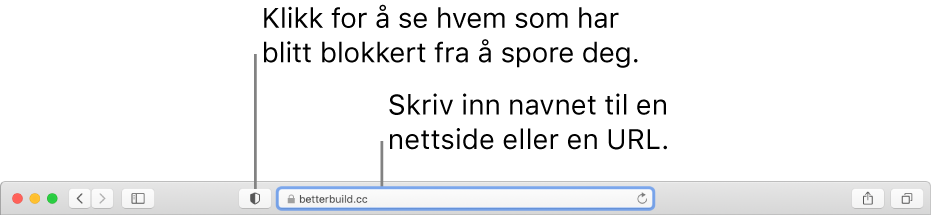 Safari-verktøylinjen som viser Personvernrapport-knappen og en nettside i det smarte søkefeltet.