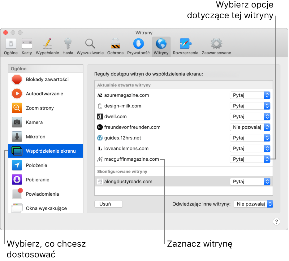 Panel Witryny w preferencjach Safari, pozwalający na dostosowywanie sposobu przeglądania poszczególnych witryn.