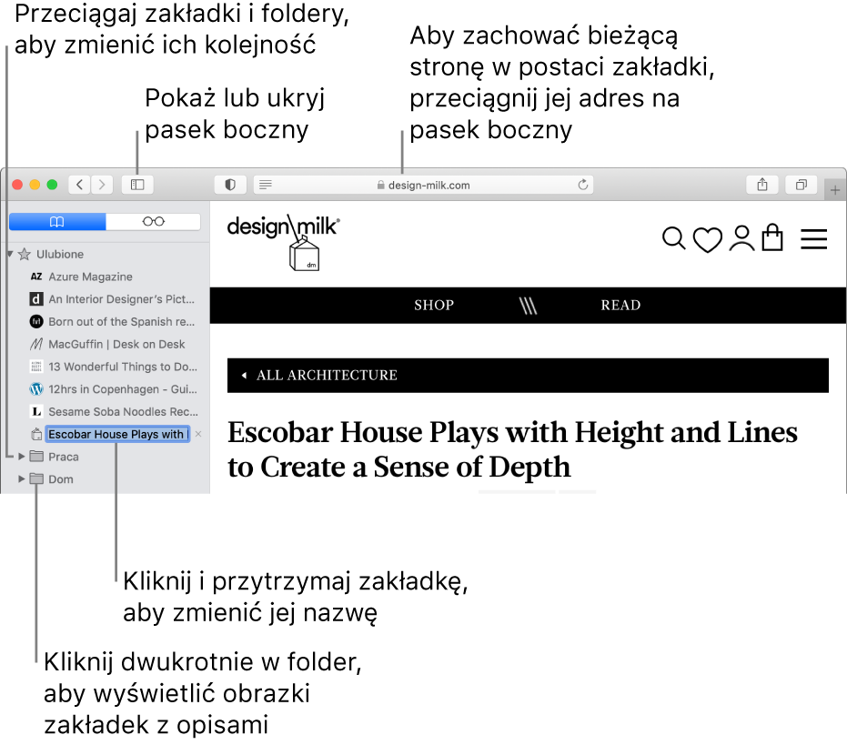 Okno Safari z zakładkami na pasku bocznym. Jedna z zakładek jest zaznaczona do edycji.