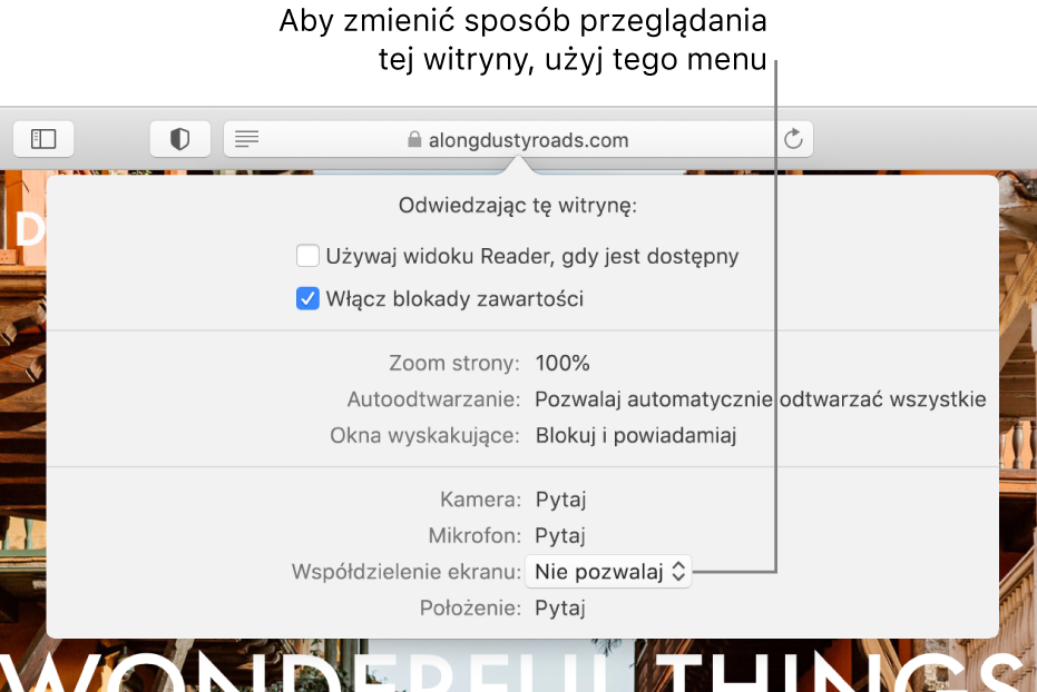 Okno dialogowe wyświetlane poniżej inteligentnego pola wyszukiwania po wybraniu polecenia menu Safari > Ustawienia dotyczące tej witryny. Okno to zawiera opcje pozwalające na dostosowywanie sposobu przeglądania bieżącej witryny, takie jak używanie widoku Reader, włączanie blokady zawartości i inne.