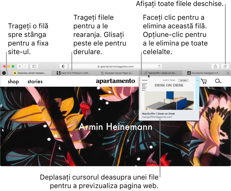 Fereastra Safari cu mai multe file deschise, cu cursorul peste o filă care arată o previzualizare a paginii web.