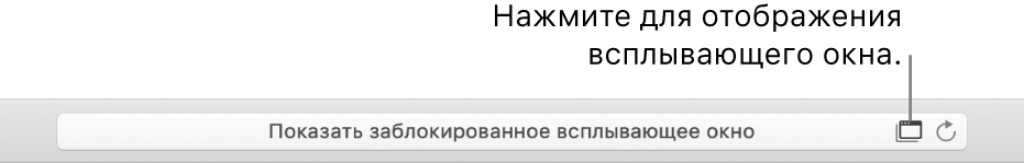 Поле смарт-поиска со значком для разрешения отображения всплывающих окон справа.