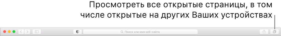 Панель инструментов с кнопкой «Показать обзор вкладок».