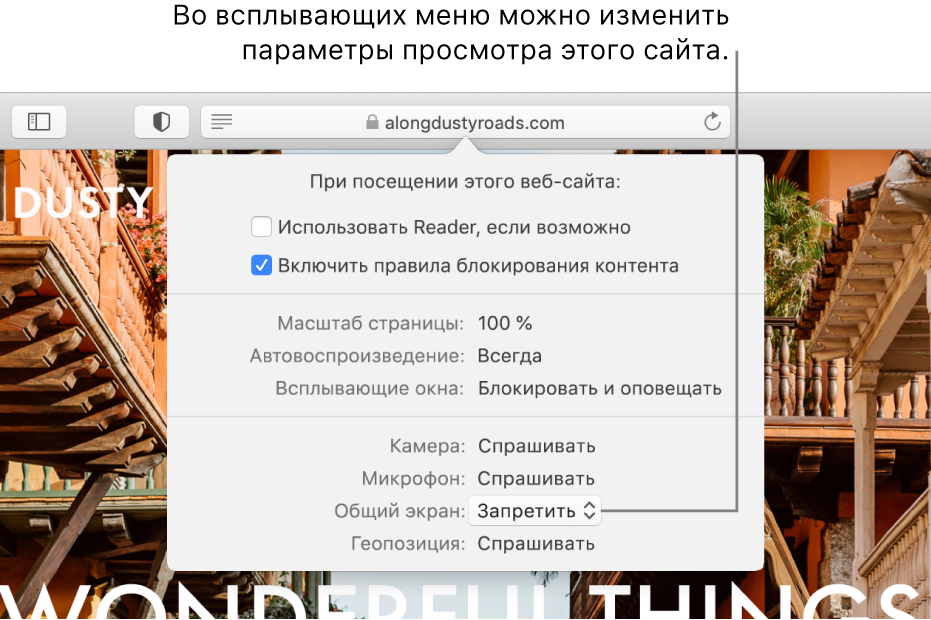 Диалоговое окно, появляющееся под полем смарт-поиска при выборе меню «Safari» > «Настройка для этого веб-сайта». Это диалоговое окно содержит варианты просмотра открытого веб-сайта, в том числе режим Reader, правила блокирования контента и другие параметры.