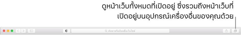 แถบเครื่องมือที่แสดงปุ่ม “แสดงภาพรวมแถบ”