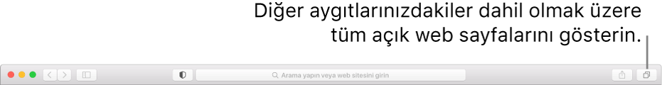 “Sekmelere genel bakışı göster” düğmesini gösteren araç çubuğu.