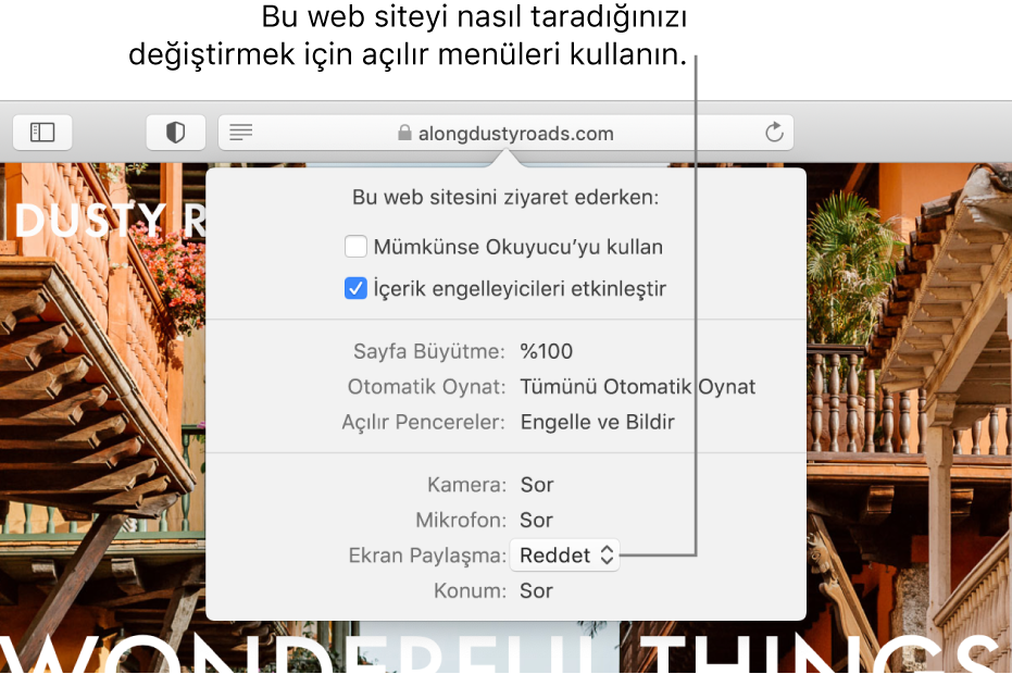 Safari > Bu Web Sitesi için Ayarlar’ı seçtiğinizde, Akıllı Arama alanının altında görünen sorgu kutusu. Kutuda, Okuyucu görüntüsünü kullanma, içerik engelleyicileri etkinleştirme ve daha pek çok şey de dahil olmak üzere, geçerli web sitesini nasıl dolaştığınızı özelleştiren seçenekler bulunur.