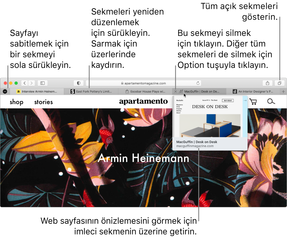Birden fazla sekme açık halde Safari penceresi, imleç web sayfasının önizlemesini gösteren bir sekmenin üstünde.