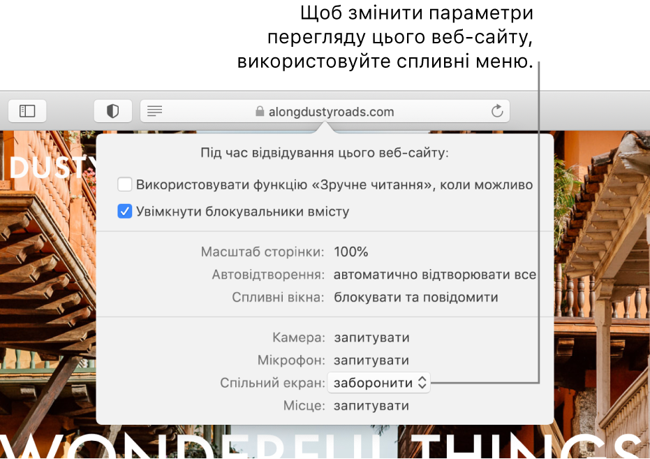 Діалогове вікно, яке відображається під розумним полем пошуку, якщо вибрати Safari > «Параметри для цього веб-сайту». Діалогове вікно містить варіанти для настроювання перегляду цього веб-сайту, включно з поданням «Зручне читання», яке дозволяє увімкнути блокувальники вмісту, тощо.