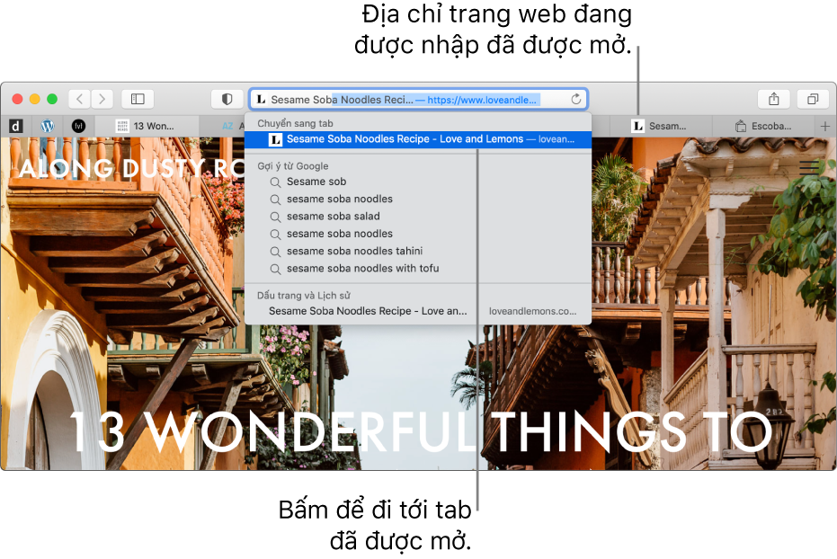 Cửa sổ Safari với phần đầu tiên của địa chỉ trang web được nhập vào trường Tìm kiếm thông minh. Trang web tương tự xuất hiện trong danh sách kết quả bên dưới Chuyển sang tab, vì trang web đó đã được mở trong một tab khác.