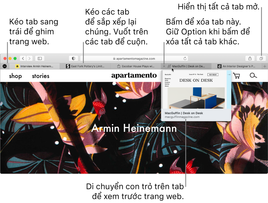 Cửa sổ Safari với một vài tab đang mở, với con trỏ lên trên tab đang hiển thị bản xem trước của trang web.