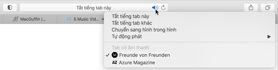 Danh sách trang web đang phát âm thanh.