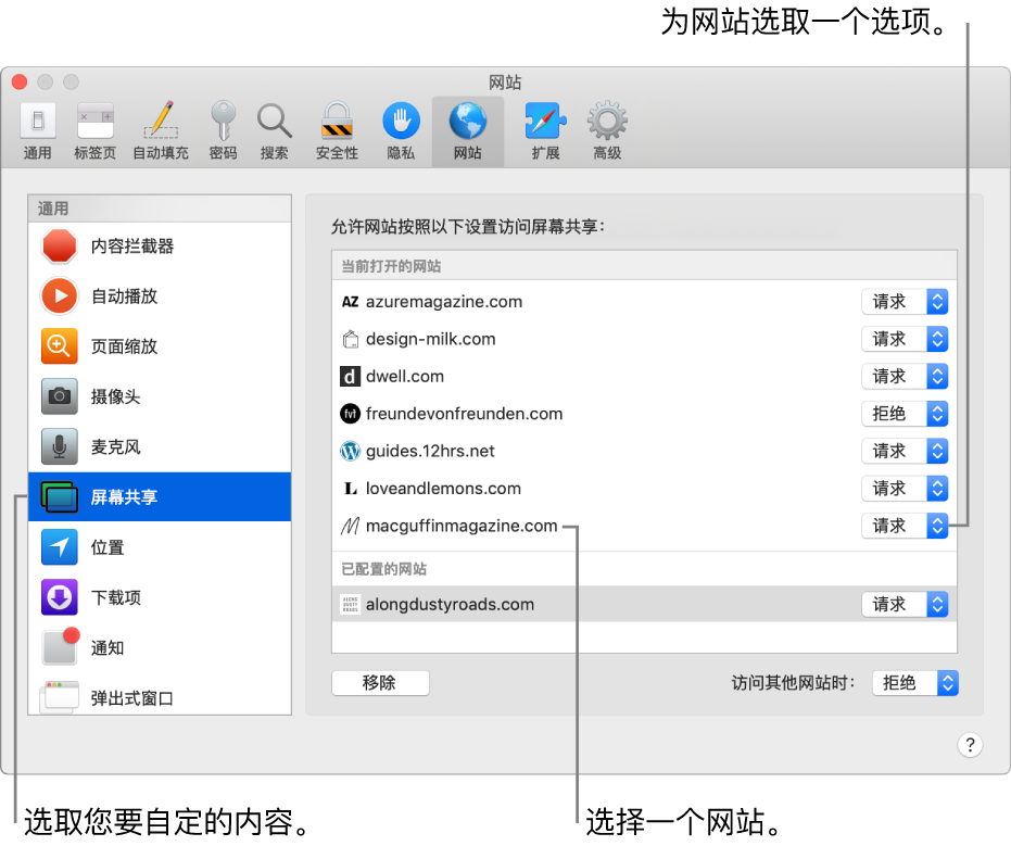 Safari 浏览器偏好设置中的“网站”面板，您可以在其中自定浏览单个网站的方式。