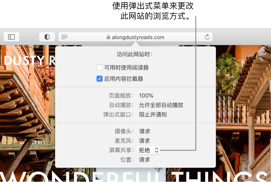 当您选取“Safari 浏览器”>“此网站的设置”时，出现在智能搜索栏下方的对话框。包含自定浏览当前网站方式选项的对话框，其中包括使用阅读器视图、启用内容拦截器等。