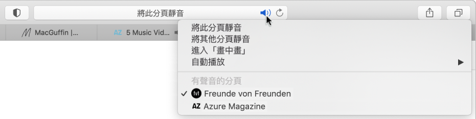 正在播放音訊的網站列表。