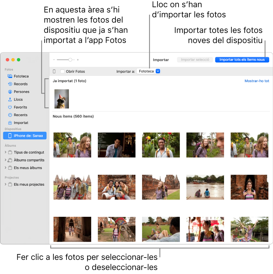 Les fotos del dispositiu que ja has importat es mostren a la part superior del tauler i les noves fotos es mostren a la part inferior. A la part superior central hi ha el menú desplegable ”Importar a”. El botó “Importar tots els ítems nous” és a la part superior dreta.