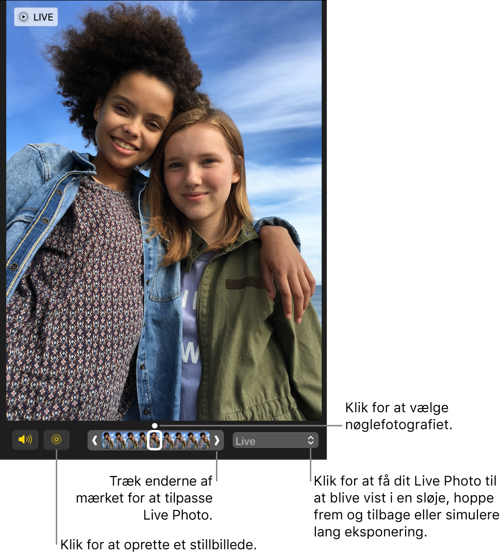 Et Live Photo i redigeringsoversigten med et mærke under, der viser fotografiets billeder. Knappen Live Photo og knappen Højttaler vises til venstre for mærket, og til højre vises en lokalmenu, du kan bruge til at tilføje en sløjfe, et hop eller en lang eksponering.