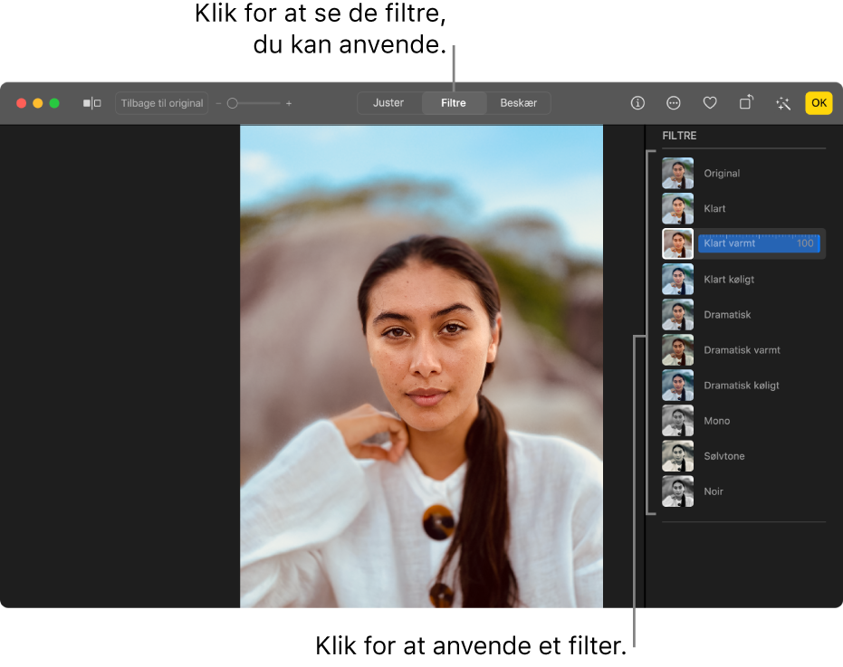 Fotografiet i redigeringsoversigt med Filtre valgt på værktøjslinjen og filtreringsmuligheder til højre.