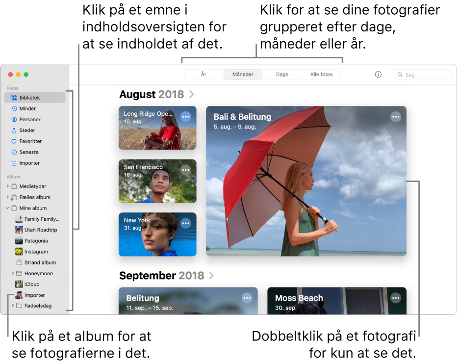 Vinduet Fotos, der viser Måneder valgt på værktøjslinjen og fotografier i vinduet organiseret efter måned. I indholdsoversigten til venstre, hvor du kan vælge album og projekter.