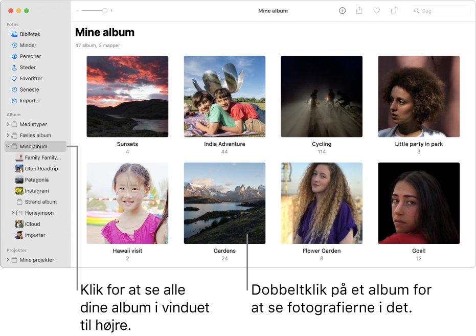 Vinduet Fotos med Mine album valgt i indholdsoversigten og de album, du har oprettet, vist i vinduet til højre.