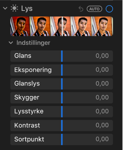 Området Lys i vinduet Juster med mærker til Glans, Eksponering, Glanslys, Skygger, Lysstyrke, Kontrast og Sortpunkt.