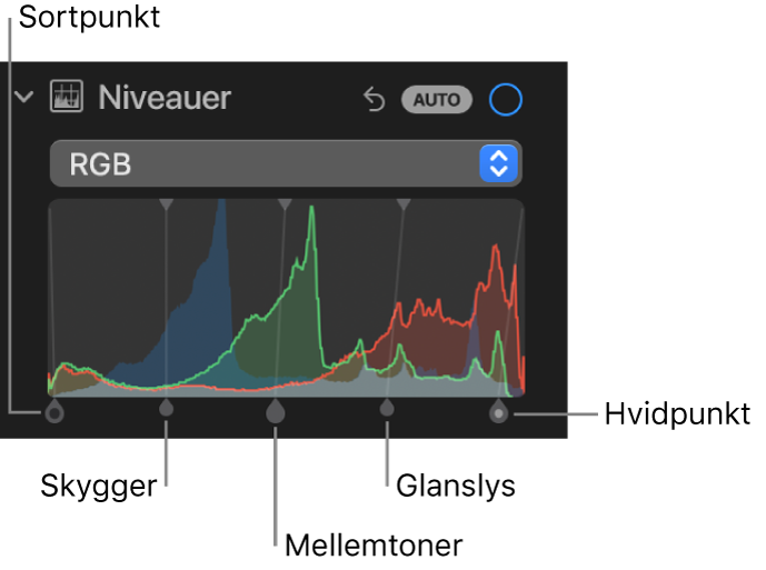 Betjeningsmuligheder til Niveauer i vinduet Juster med RGB-histogrammet med håndtag nedenfor, herunder sortpunkt, skygger, mellemtoner, glanslys og hvidpunkt (fra venstre mod højre).