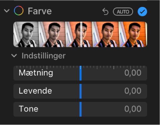 Området Farve i vinduet Juster med mærker til Mætning, Levende og Tone (farvestik).