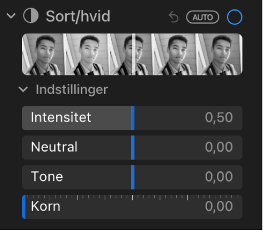 Området Sort/hvid i vinduet Juster med mærker til Intensitet, Neutral, Tone og Kornethed.