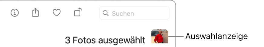 Auswahlanzeige mit drei ausgewählten Fotos.