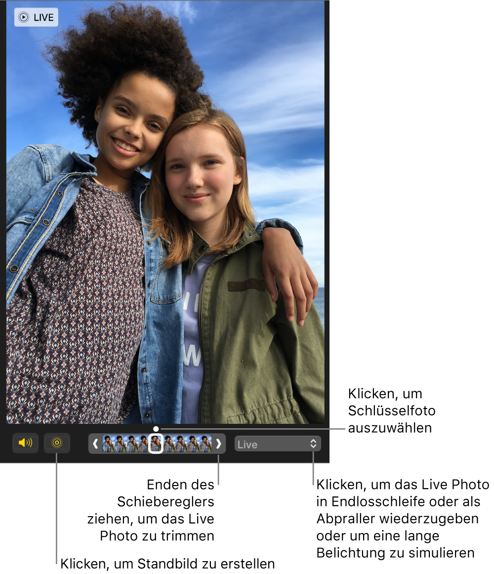 Ein Live Photo in der Bearbeitungsansicht mit einem Regler darunter, der die Bilder des Fotos zeigt. Die Tasten „Live Photo“ und „Lautsprecher“ links neben dem Regler und einem Einblendmenü rechts, aus dem Effekte für Endlosschleifen, Abpraller und Langzeitbelichtungen hinzugefügt werden können