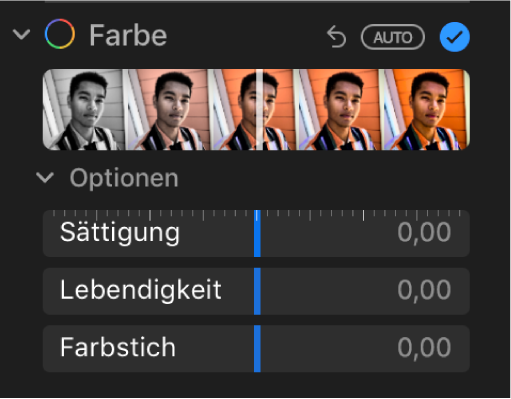 Die im Bereich „Anpassen“ unter „Farbe“ angezeigten Regler sind: Sättigung, Lebendigkeit und Farbstich.