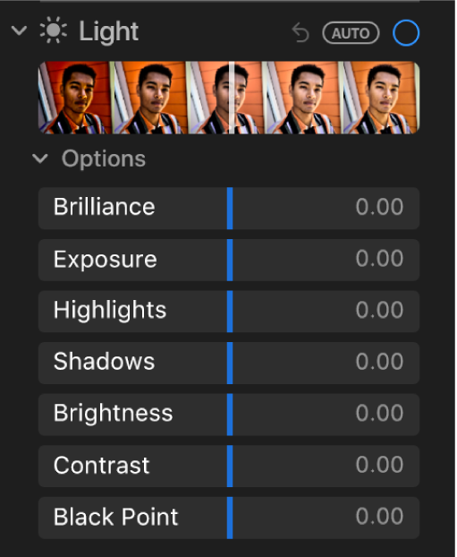 The Light area of the Adjust pane showing sliders for Brilliance, Exposure, Highlights, Shadows, Brightness, Contrast and Black Point.