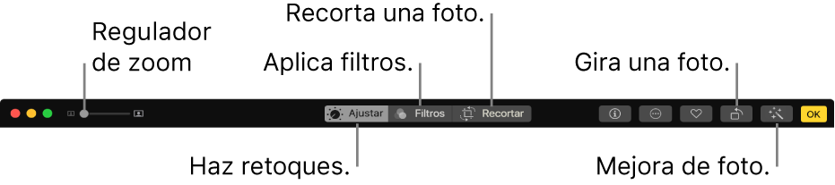 La barra de herramientas de edición mostrando un regulador de zoom y botones para realizar ajustes, agregar filtros, recortar fotos y mejorar fotos.