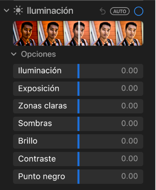 El área Luz del panel Ajustar mostrando los reguladores de Luminosidad, Exposición, “Zonas claras”, Sombras, Brillo, Contraste y “Punto negro”.