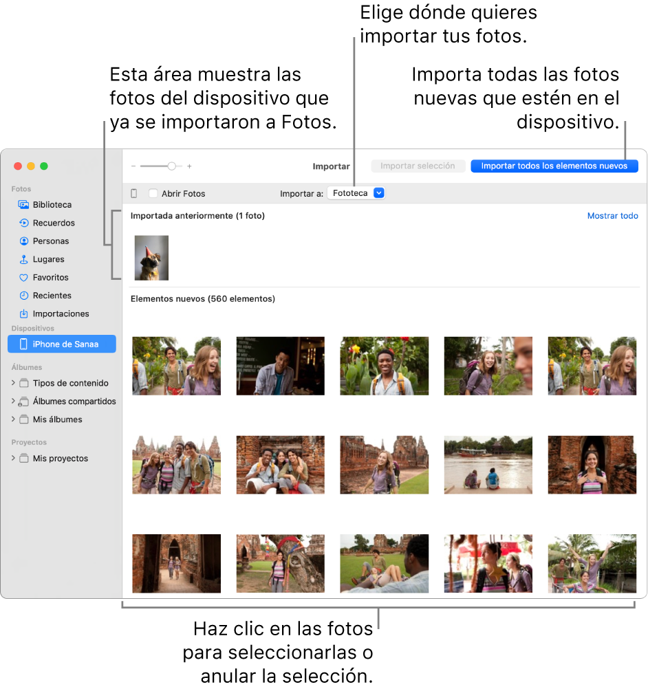 Las fotos en el dispositivo que ya importaste se muestran en la parte superior del panel; las fotos nuevas se muestran en la parte inferior. En parte central superior se encuentra el menú desplegable “Importar a”. El botón “Importar todos los elementos nuevos” se encuentra en la parte superior derecha.