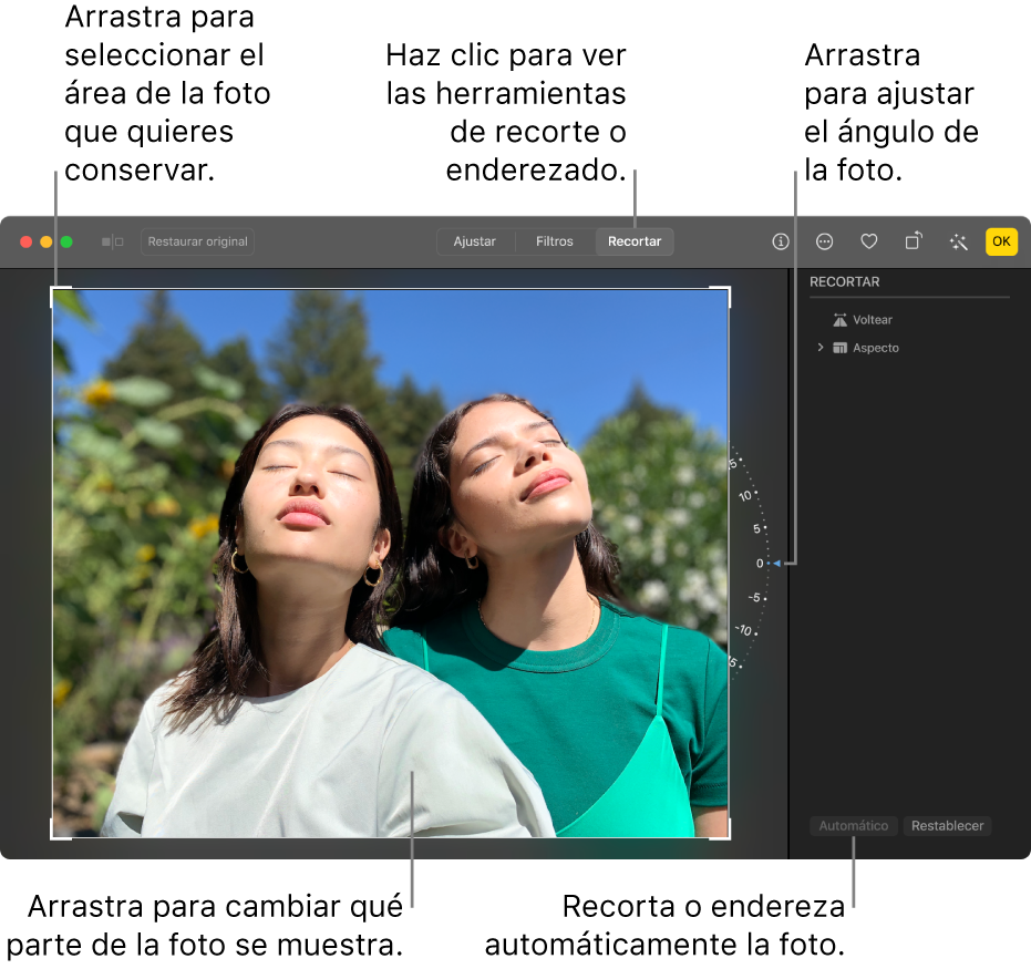 Una foto en la vista de edición con la herramienta Recortar en la barra de herramientas, un rectángulo de selección alrededor de la foto, una rueda de inclinación a la derecha de la foto y el botón Automático en la parte inferior derecha.