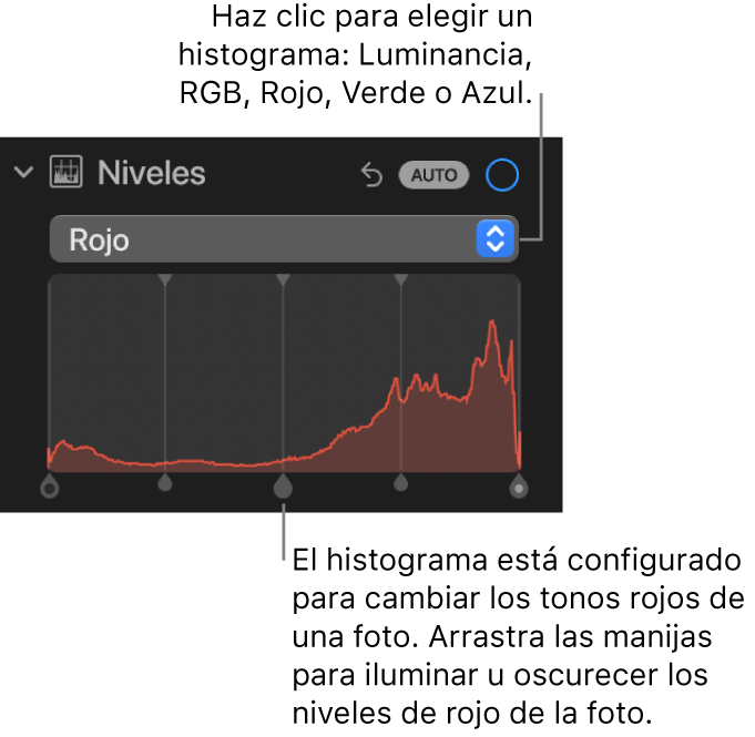 Los controles de Niveles en el panel Ajustar mostrando el histograma Rojo con manijas en la parte inferior para ajustar los niveles rojos de la foto.