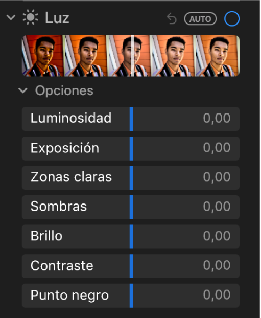 El área Luz del panel Ajustar con reguladores para Luminosidad, Exposición, Zonas claras, Sombras, Brillo, Contraste y Punto negro.