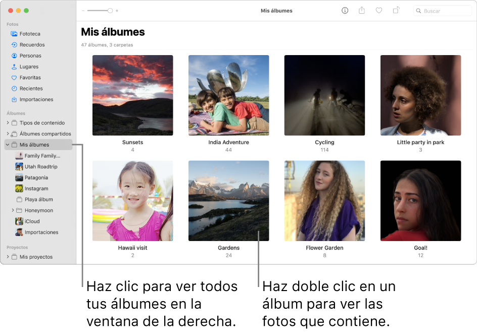 La ventana de Fotos con la carpeta “Mis álbumes” seleccionada en la barra lateral y los álbumes que has creado en la ventana de la derecha.