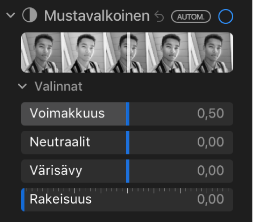 Säädot-paneelin Mustavalkoinen-kohdassa näkyy säätimet intensiteetille, neutraaleille, värisävyille ja rakeisuudelle.