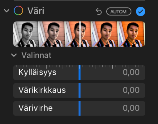Säädot-paneelin Väri-kohdassa näkyy säätimet kylläisyydelle, kirkkaudelle ja värivirheelle.