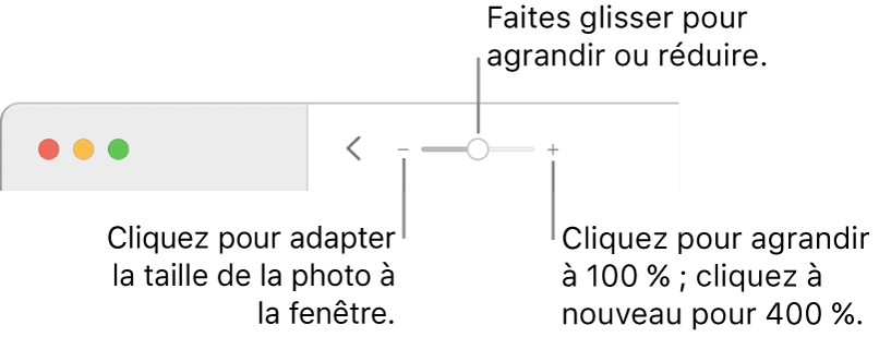 La barre d’outils affichant les commandes Réduire/agrandir.