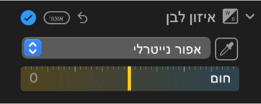 כלי בקרה לאיזון לבן בחלונית ״התאם״.