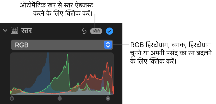 ऊपरी दाएँ कोने में ऑटो बटन और नीचे की ओर RGB हिस्टोग्राम दिखाता ऐडजस्ट करें पेन में स्तर नियंत्रण।