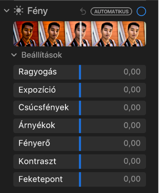 A Beállítás panel Fény területe a Csillogás, Expozíció, Csúcsfények, Árnyékok, Fényerő, Kontraszt és Feketepont csúszkákkal.
